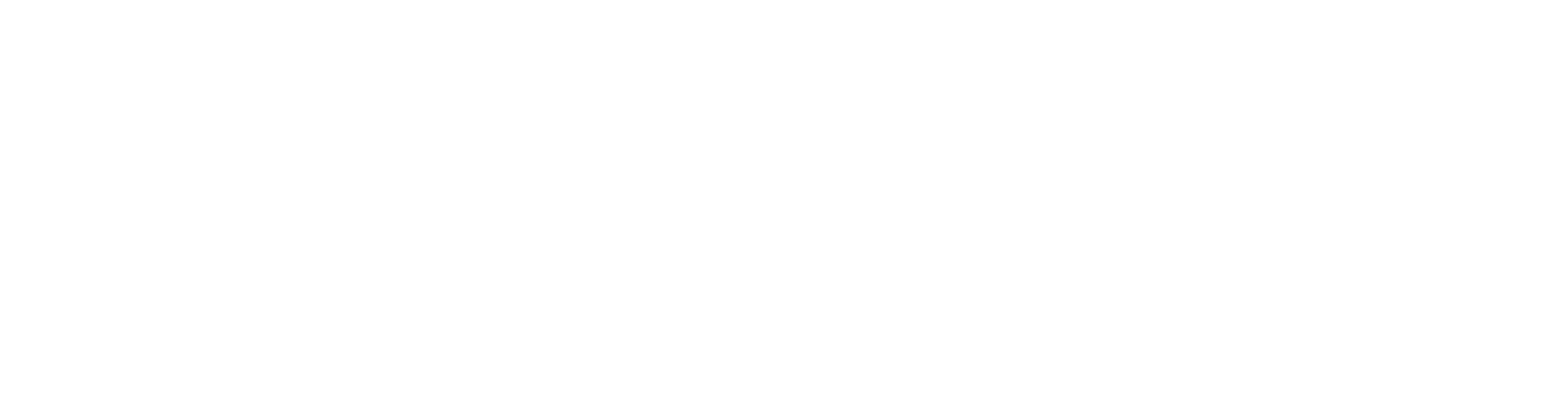 nukleus Logo